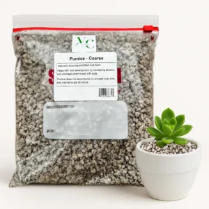 Premium Pumice Coarse