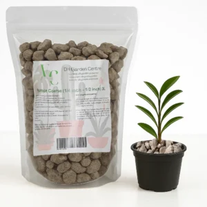 Premium Pumice Coarse (¼ inch - ½ inch) for Plants
