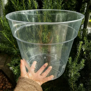 4 pcs Clear Nursery Pots 10 inch PET, Plants pots with Drainage
