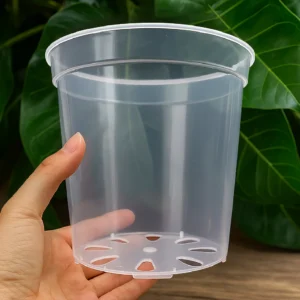 Clear Nursery Pots 6 pcs 6 inch Transparent Plant pots with Drainage, Seeding pots, Orchid pot